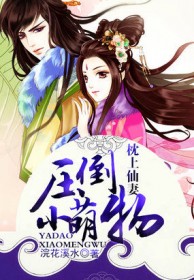枕上仙妻：压倒小萌物